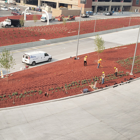 Roadway arrival planting August 2020
