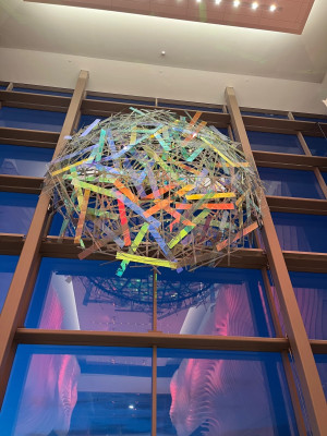 Northern Light for web