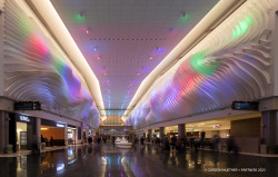 THE CANYON 1 THE CANYON 1