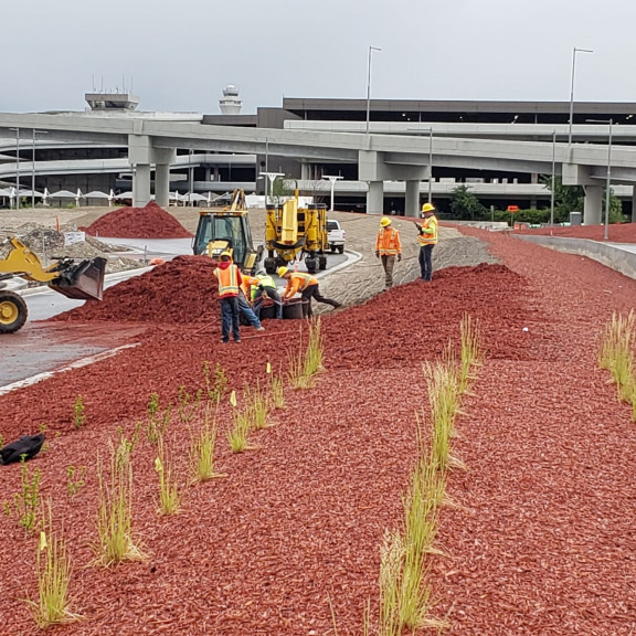 Roadway east side e lot inbound landscaping June 2020