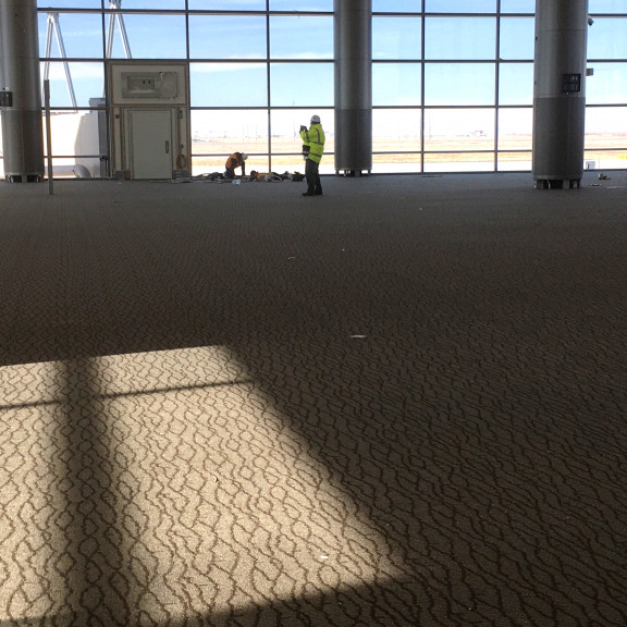 SCW carpet February 2020